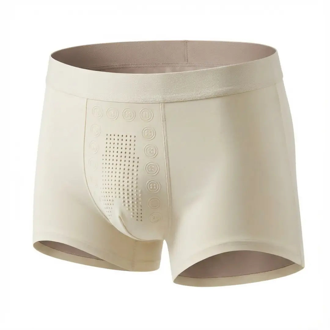 Le Boxer Testo-Shield DualComfort®