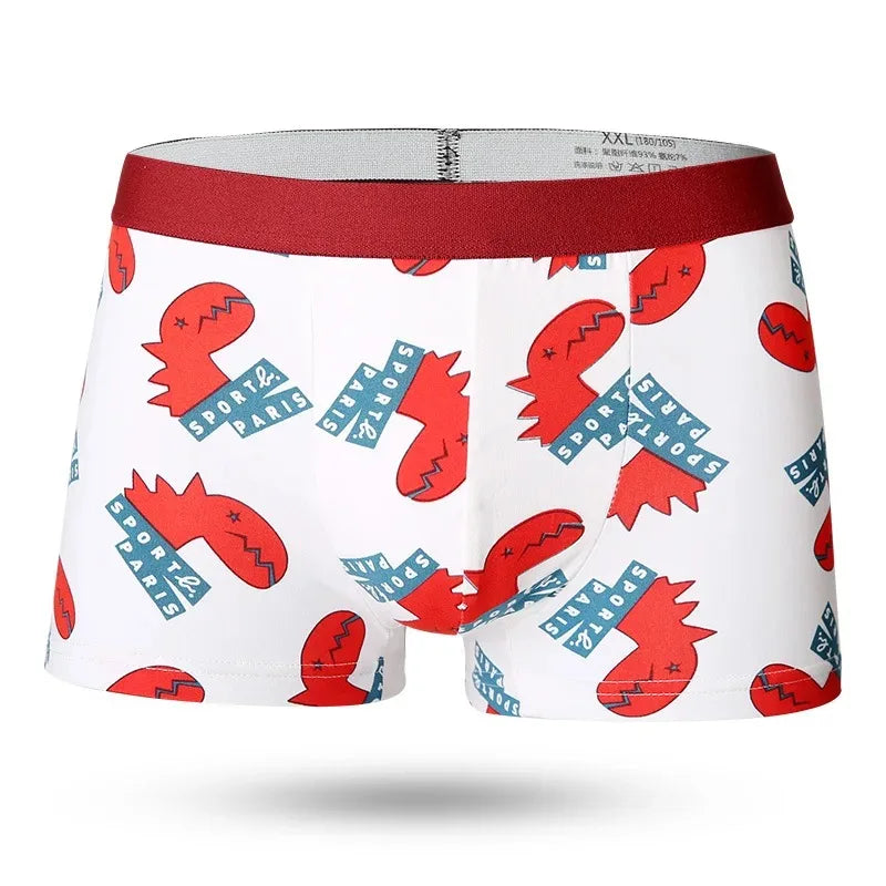 Lots de 5 Boxers ToonBox Badra