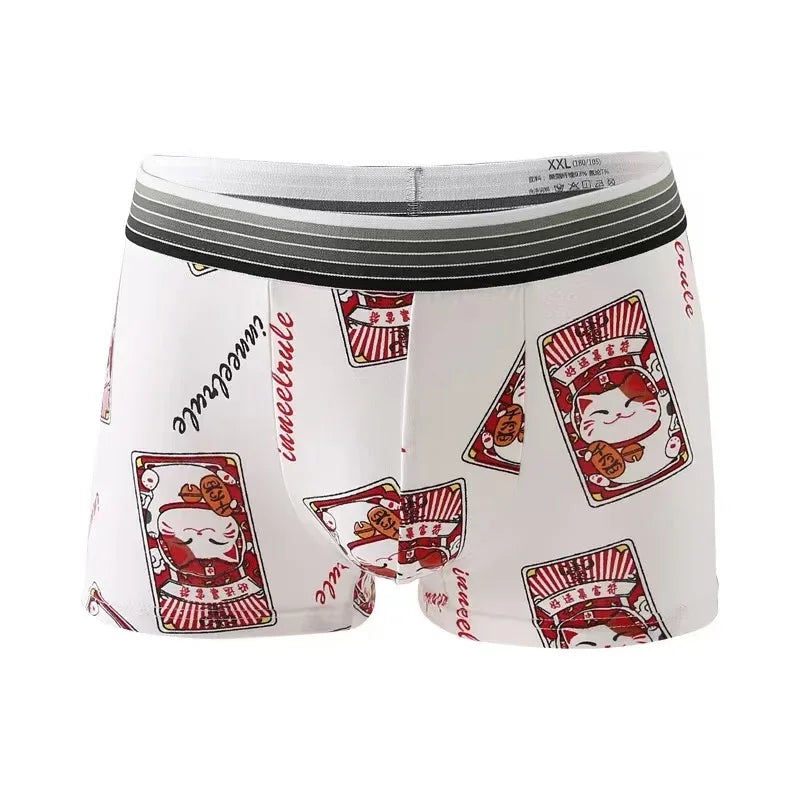 Lots de 5 Boxers ToonBox Badra